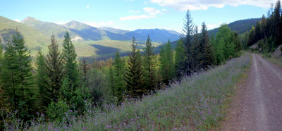 GDMBR: Riding along the Morrell River Valley, looking southward.